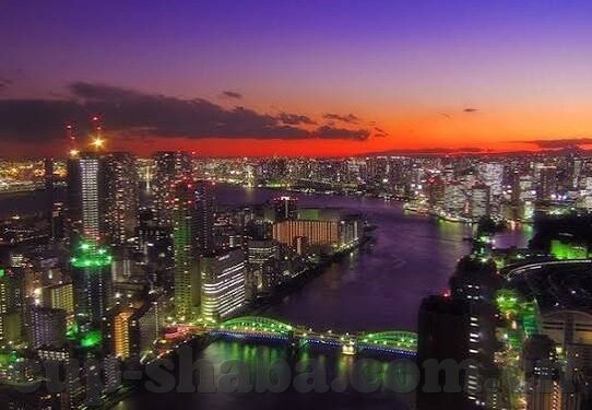 足球比分新浪文字直播-从文字到激情，新浪足球比分文字直播如何重塑球迷观赛体验